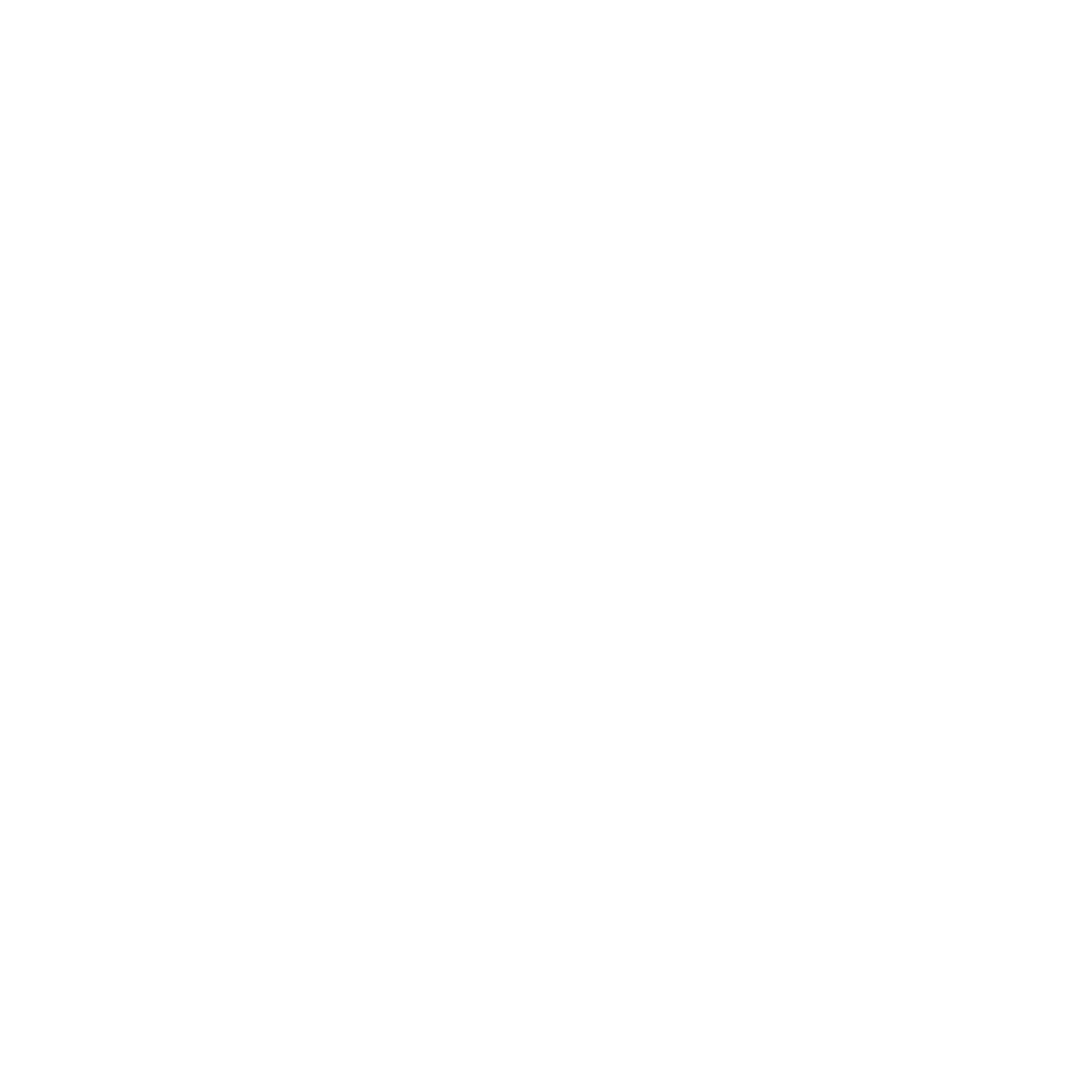資産価値の向上